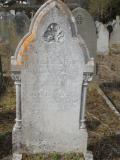 image of grave number 295656